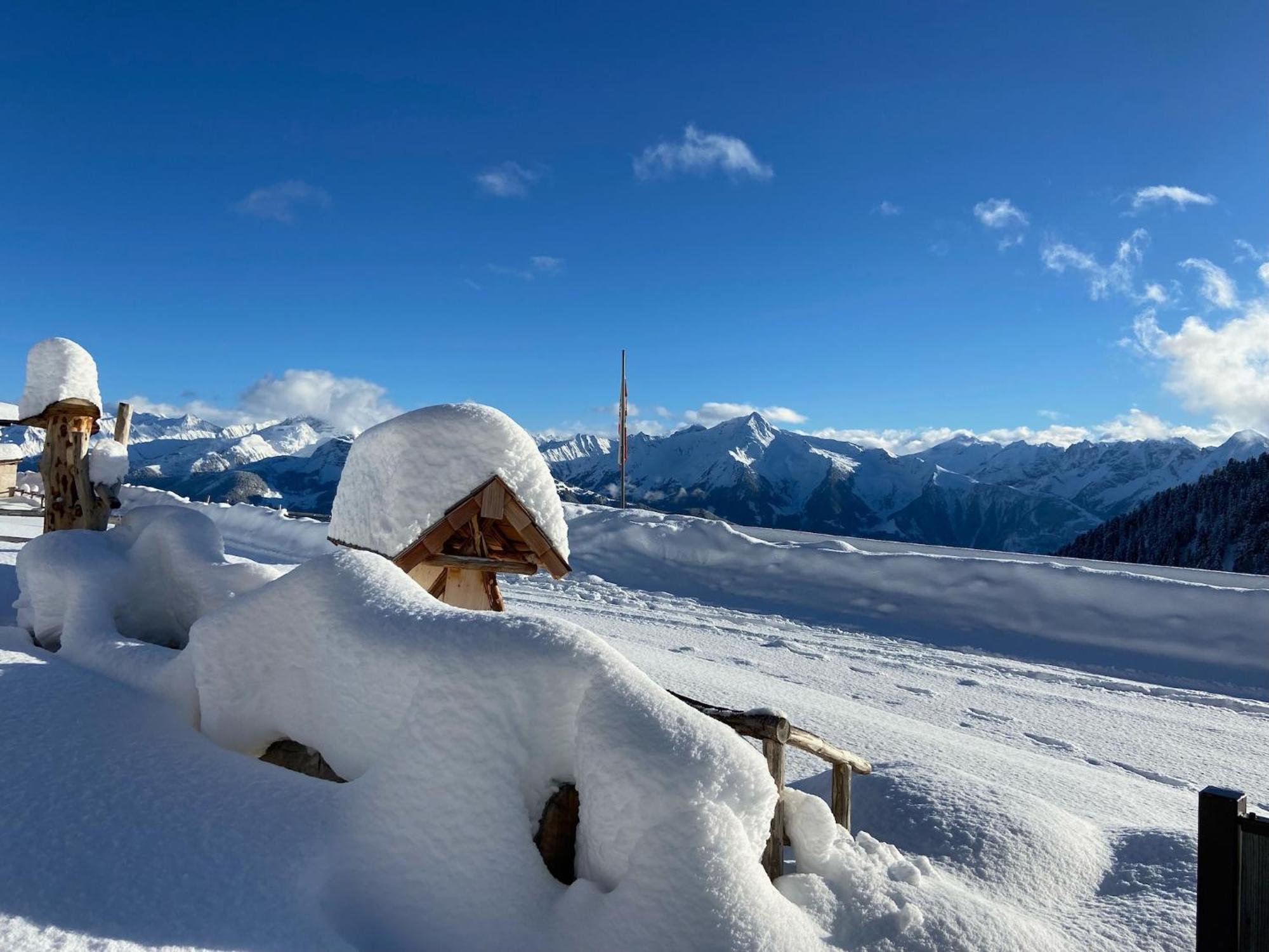 New Holiday Home On The Alm With Terrace And Balcony Zellberg ภายนอก รูปภาพ